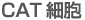 CAT細胞